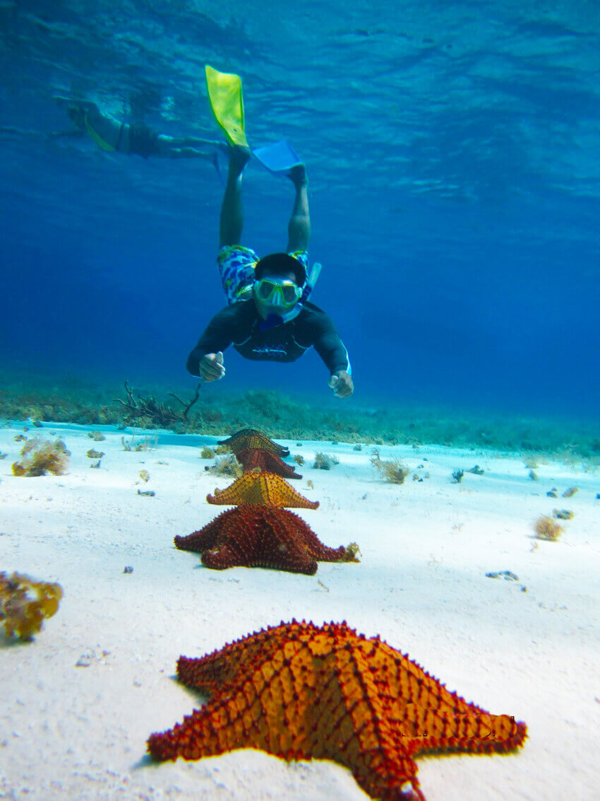 Snorkel in Cozumel - Aqua Excursions - Snorkeling Tour from Playa del ...