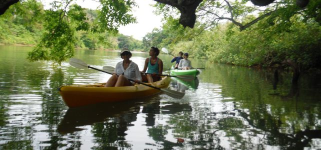 River Ora Kayaking,Mangrove & Wildlife