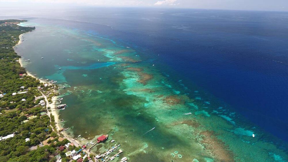 Roatan Reef Scuba Dive Cruise ship Excursion 