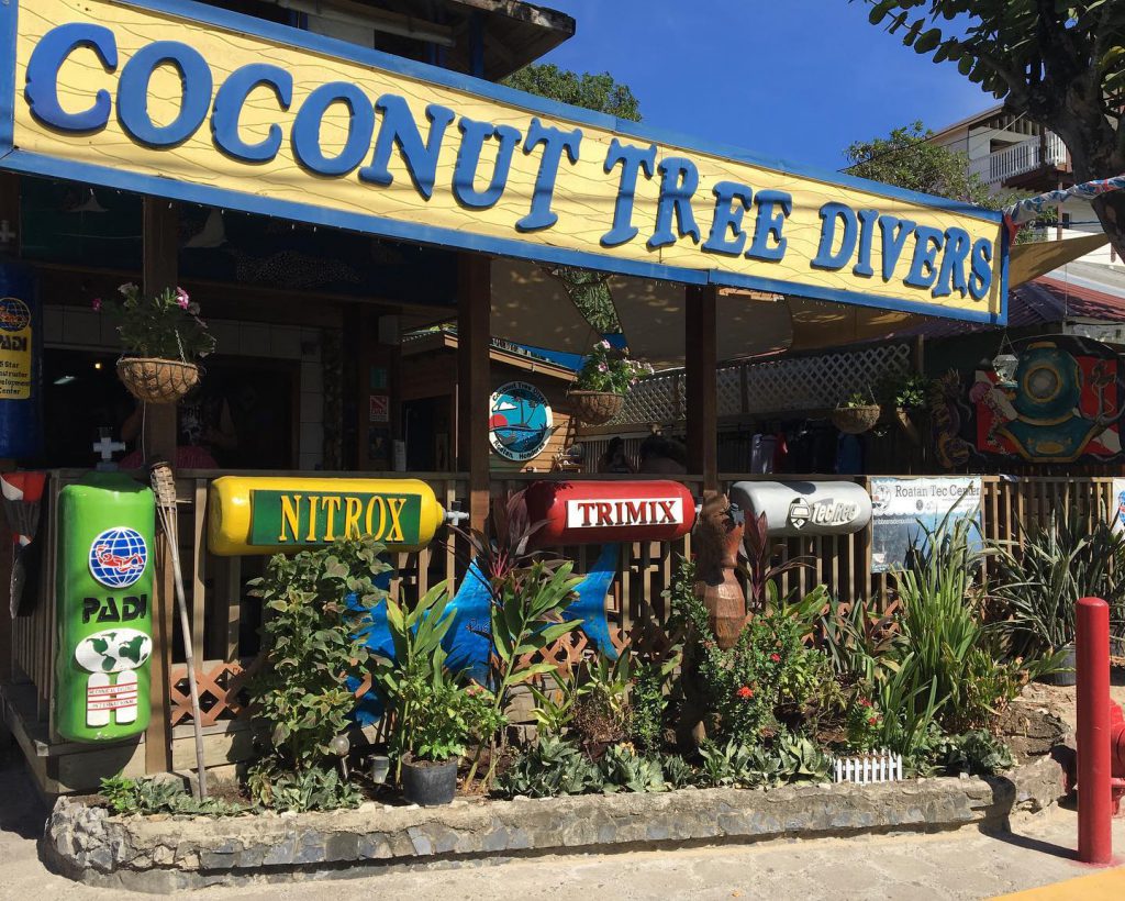 Coconut Tree Divers Scuba Dive