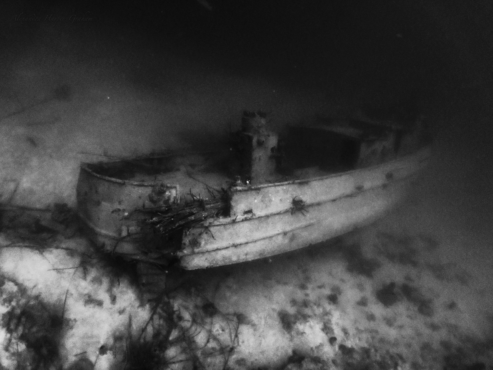 Josie J bedste dykkersteder i roatan honduras