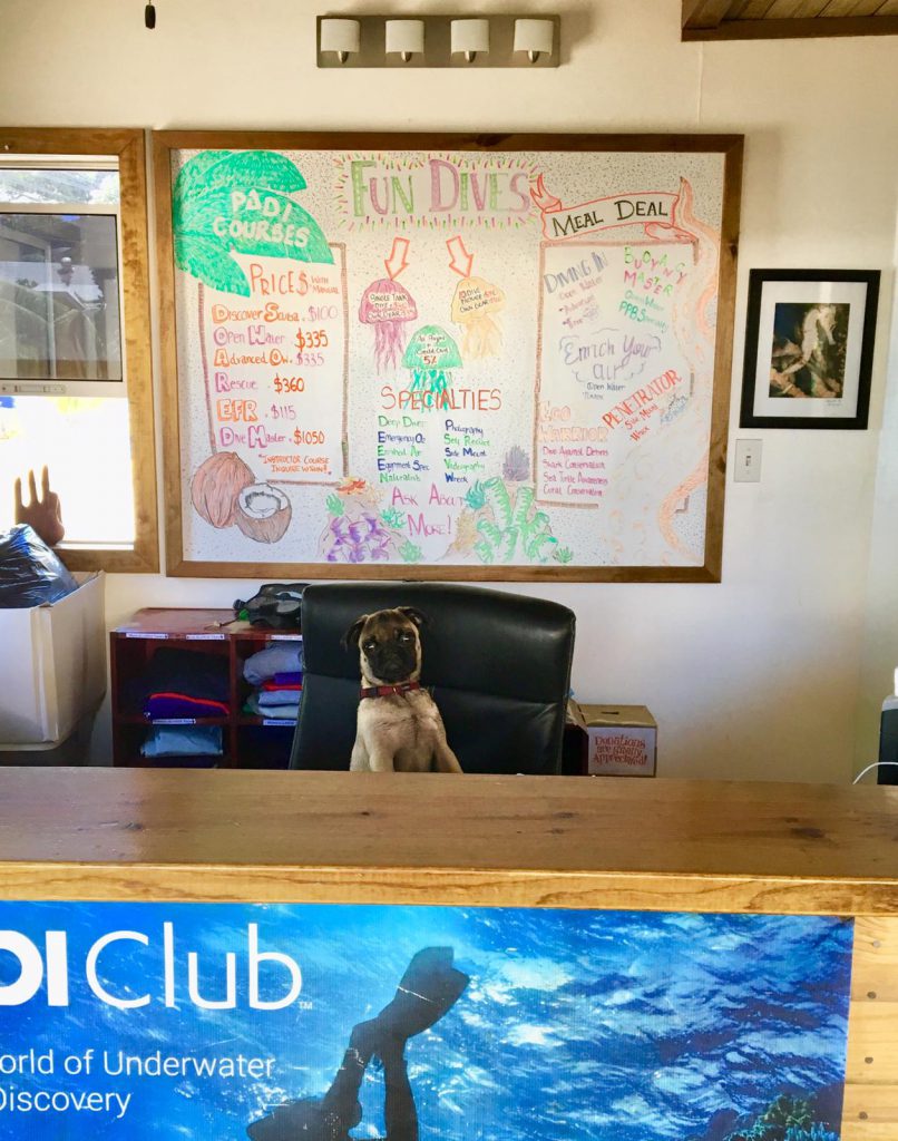 Molson's front desk responsibilities Molson's front desk responsibilities