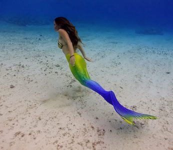 Mermaid Experiences