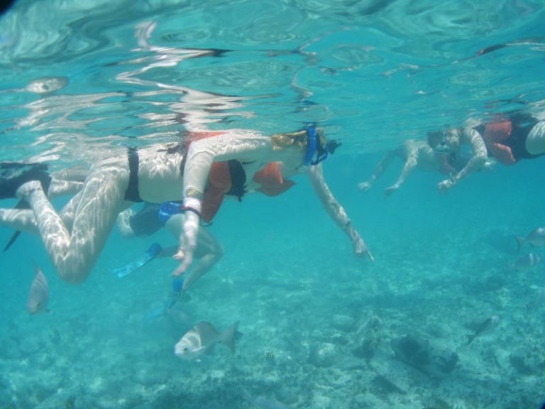 Snorkelling at The Lighthouse reef