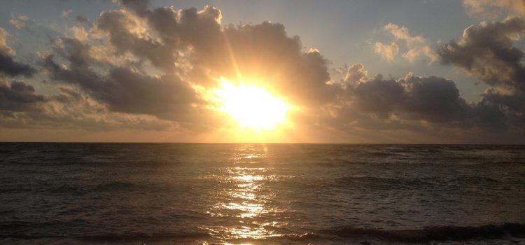 Ready for the High Season – Time to Dive in Cozumel! Dive Cozumel