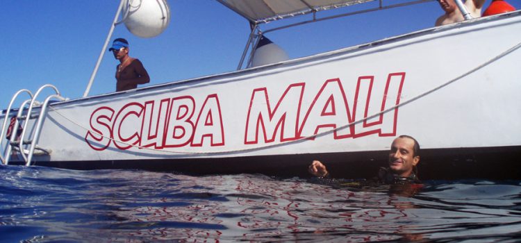 Scuba Dive Cozumel this Spring – Dive Cozumel Cozumel Dive shops