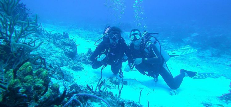 Cozumel Dive Sites – Diving in Cozumel Cozumel dive sites