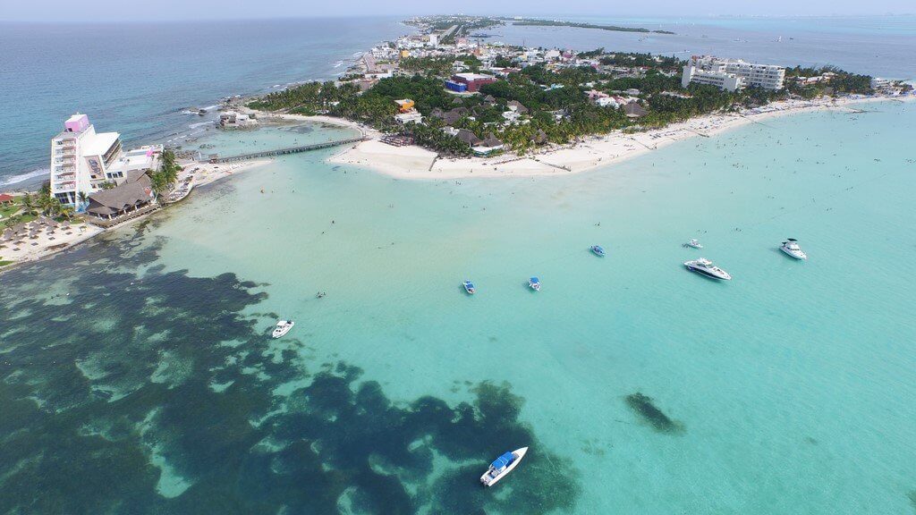 Isla Mujeres - Whale Shark Encounter